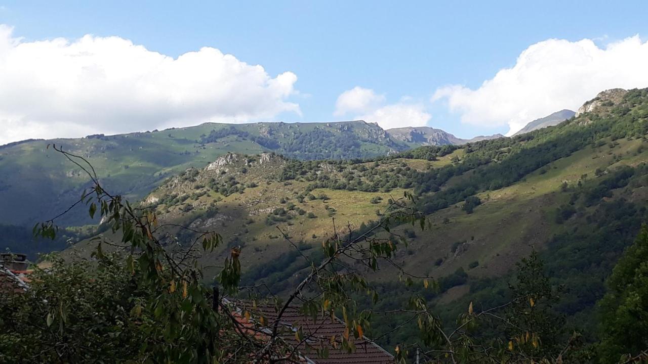 La Sereine Hébergement de vacances *